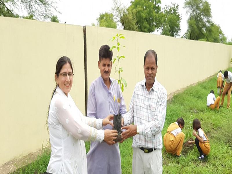 Tree Plantation Celebration Sihora.