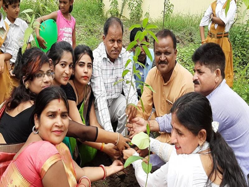 Tree Plantation Celebration Sihora.