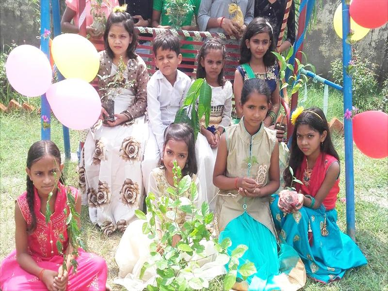 Hariyali Teej Celebration