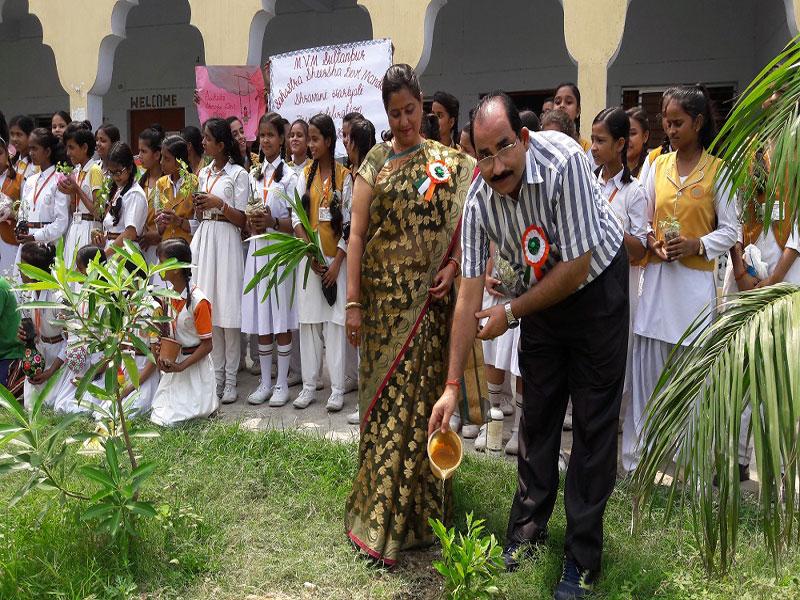 Hariyali Teej Celebration