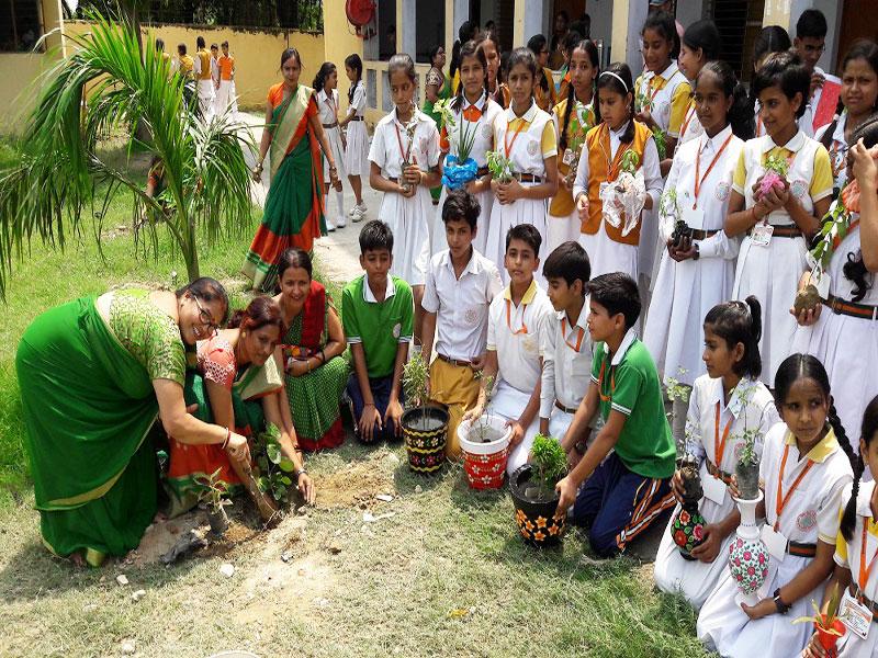 Hariyali Teej Celebration