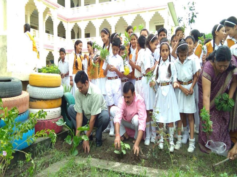 Tree Plantation Celebration Kotdwar.