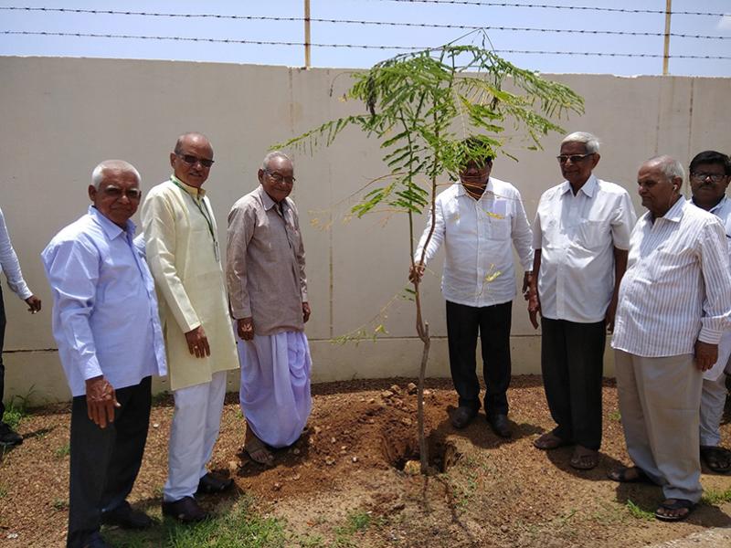 Tree Plantation Celebration Tumsar.