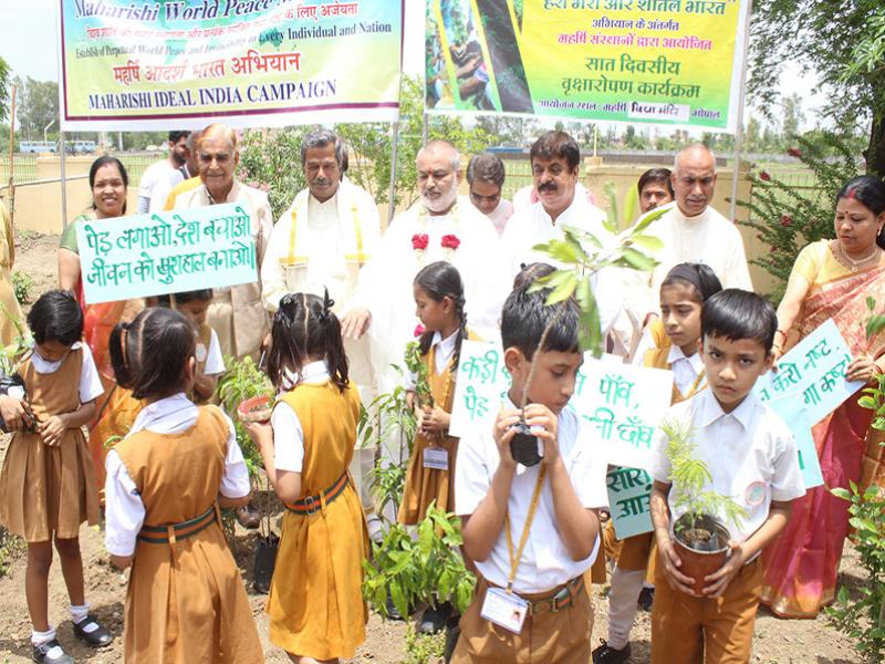 Tree Plantation Celebration Bhopal.