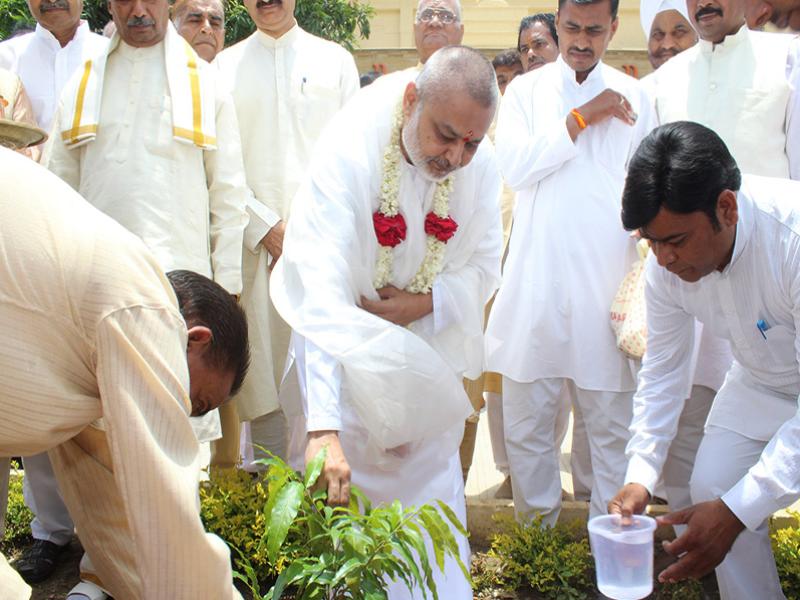 Tree Plantation Celebration Bhopal.