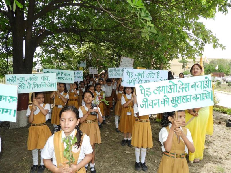 Tree Plantation Celebration Bhopal.
