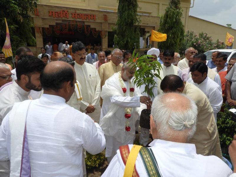 Tree Plantation Celebration Bhopal.