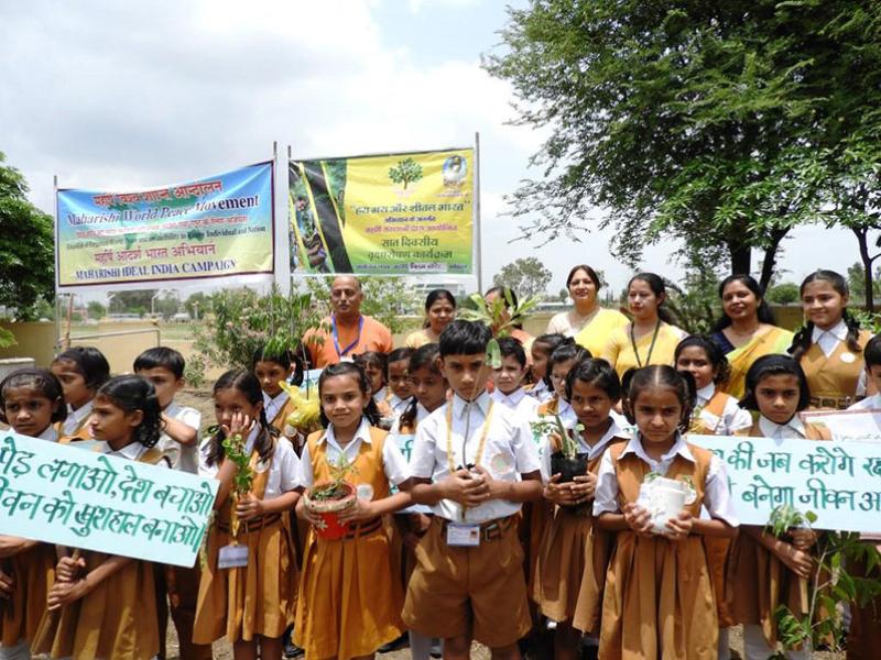 Tree Plantation Celebration Bhopal.